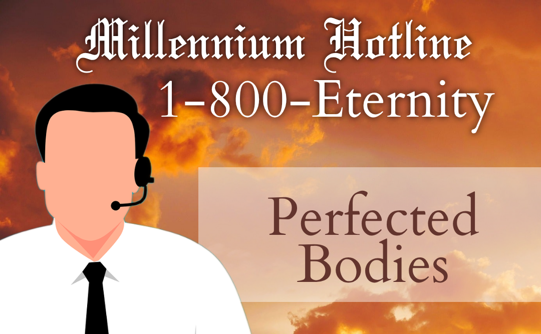 Millennium Hotline: Perfected Bodies